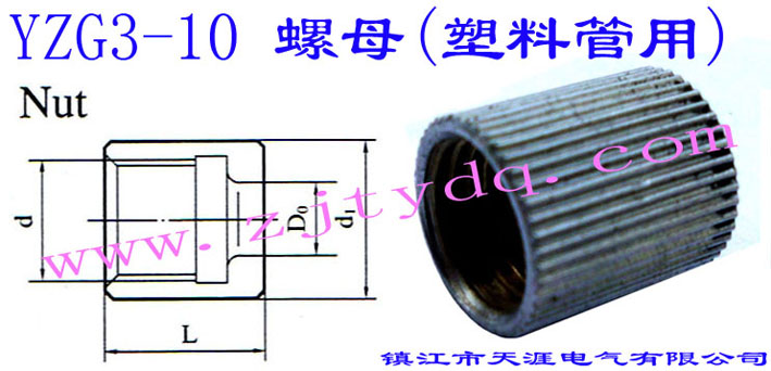 YZG3-10 螺母（塑料管用）Nut