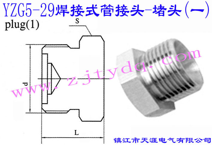 YZG5-29 焊接式管接头-堵头（一）Plug 1
