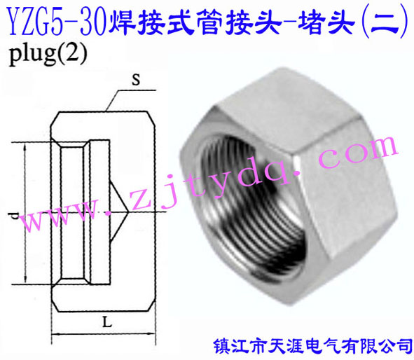 YZG5-30 焊接式管接头-堵头（二）Plug 2
