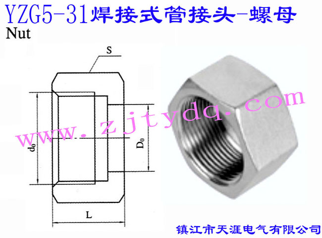 YZG5-31 焊接式管接头-螺母Nut
