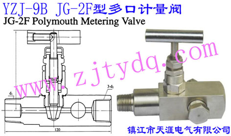 YZJ-9B JG-2F型多口计量阀YZJ-9B JG-2F Polymouth Metering Valve