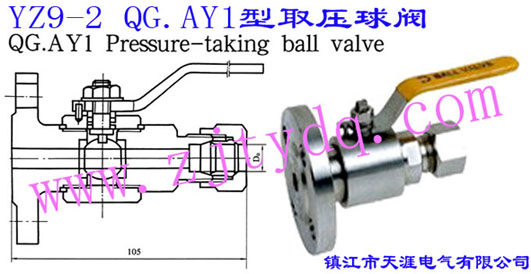YZ9-2 QG.AY1型取压球阀YZ9-2 QG.AY1 Pressure-taking Ball Valve