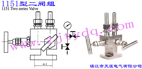 1151Ͷ1151 Two Series Valve