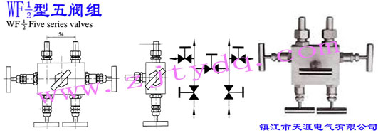 WF-1/2型五阀组WF-1/2 Five Series Valve