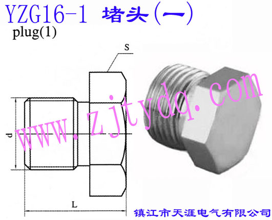 YZG16-1 堵头（一）Plug 1